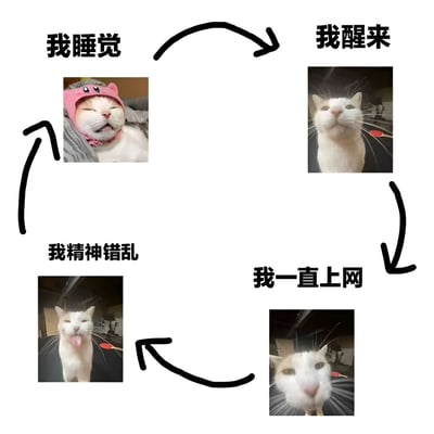 这是一张四格循环图，通过箭头连接展示了一只白猫的四种状态循环：左上角戴着粉色帽子闭眼睡觉的猫配文“我睡觉”，右上角抬头清醒的猫配文“我醒来”，右下角直视镜头的猫配文“我一直上网”，左下角吐舌头表情错乱的猫配文“我精神错乱”，形成一个完整的日常行为循环。