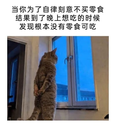 这是一张充满共鸣感的搞笑图文梗图，上方配文精准描述了一个常见的生活小场景：为了践行自律刻意不购买零食，结果到了夜晚嘴馋的时候，才发现家里没有任何零食可以解馋。下方的实拍图片中，一只狸花猫背对着镜头，将两只前爪背在身后，直立着身体望向窗外，拟人化的姿态完美诠释了配文里那种失落、懊悔又有点无奈的心情，把人在自律过程中遇到的小懊恼用可爱的宠物形象具象化，极易引发有类似经历的网友共鸣，风格轻松搞笑。