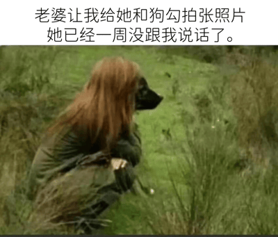 图片上方配有文字“老婆让我给她和狗勾拍张照片 她已经一周没跟我说话了。”，下方是一张在草地上的照片。照片中，一只黑色的狗被P上了长长的红色假发，从背后看酷似一个蹲在地上的人，营造出“老婆”其实是戴着假发的狗的搞笑误会场景，让人会心一笑。