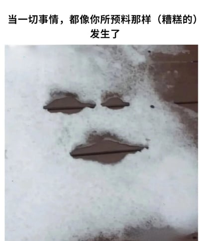 图片上方配有文字“当一切事情，都像你所预料那样（糟糕的）发生了”，下方是一张雪地照片，雪地上有三个明显的凹陷，恰好形成类似人脸的轮廓——两个对称的小凹陷作为眼睛，下方一个较长的凹陷作为嘴巴，整体呈现出一种无奈、认命的表情，仿佛是人们面对所有坏事都如预期般发生时的内心写照。