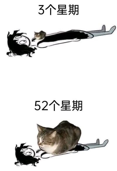 暂无描述