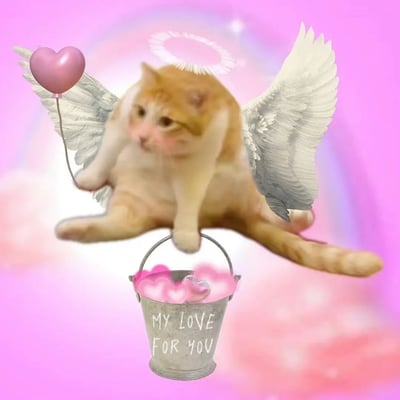 这是一张由猫咪合成的可爱表情包。图片以粉色系为主，背景是梦幻粉色渐变，猫咪的躯体被加上了天使翅膀和头顶光环，增添了一种“神圣”又治愈的氛围。猫爪正提着一个写有 “MY LOVE FOR YOU” 的小桶，桶里装满了粉色爱心，非常甜蜜。左边还飘着一个粉色爱心气球，整体充满爱意和幽默感。该图片既适合表达喜欢和关怀，也非常适合用作网络送爱、传达温暖的场景。
没有涉及双关或谐音梗，但有明显的卖萌和治愈属性。
