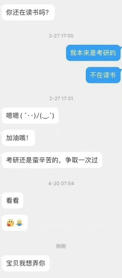 一张聊天记录截图，展示了两人关于考研话题的对话。2月27日，一方询问“你还在读书吗？”，另一方回复“我本来是考研的 不在读书”，随后对方发送了表情符号“嗯嗯 (^_^)/(._.)”并鼓励“加油哦！考研还是蛮辛苦的，争取一次过”。4月20日，对话中出现“看看”及一个包含两个黄色小人的表情，最后一句为“宝贝我想弄你”。