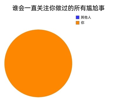 这是一张用饼图形式呈现的趣味心理梗图，顶部设置核心标题“谁会一直关注你做过的所有尴尬事”，右侧配置图例，以蓝色方块对应“其他人”、橙色方块对应“你”。但图表中的饼图完全被橙色区域填满，没有任何蓝色区域的存在，用夸张的可视化方式调侃了一种普遍的心理状态：人们往往会过度在意自己的尴尬经历，始终耿耿于怀，而实际上其他人并不会持续关注这些瞬间，以此来引发有类似心理的人群的共鸣，用幽默的方式缓解自我焦虑情绪。