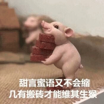 小猪搬砖：甜言蜜语不如实干