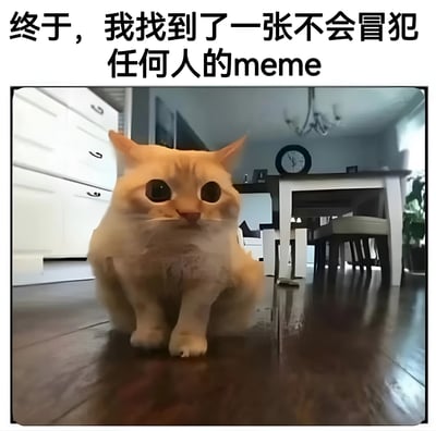 图片上方有文字“终于，我找到了一张不会冒犯任何人的meme”，下方是一只橘猫坐在木地板上，背景是餐厅，有白色家具和挂钟。猫咪有着异常大的圆眼睛，表情呆萌，整体画面给人一种可爱又略带滑稽的感觉。