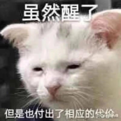 这是一张文字加注类的猫咪表情包，图中是一只眼睛半睁、神态萎靡的白色卷耳猫，上方配文“虽然醒了”，下方配文“但是也付出了相应的代价”，用拟人化的方式生动吐槽了人们早起或被迫起床后，身心俱疲、仿佛耗尽精力的状态，非常贴合日常起床时的无奈感受，带有搞笑的自嘲感。图中没有双关、谐音梗或暗示内容。