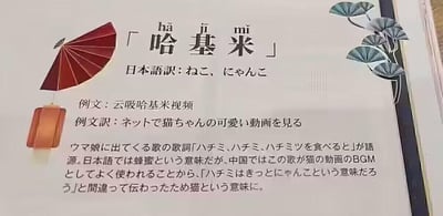 这是一张图文混排的科普类图片，专门解析中文网络热词「哈基米」的含义与起源。图中以中日双语对照的形式，标注了「哈基米」在中文语境里指代可爱猫咪的含义，以及它在日语中的原意「蜂蜜」，还给出了「云吸哈基米视频」的使用例句，并翻译了对应的日语表达。图中配有日式纸伞、灯笼、银杏枝的装饰元素，整体排版清晰，内容详实，旨在向网友科普这个被误传而来的网络热词的来龙去脉。