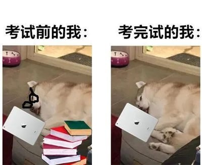 这张梗图通过左右对比展示了学生考试前后的状态：左侧狗狗戴眼镜躺卧在书本和电脑旁，仿佛努力学习却疲惫不堪；右侧狗狗卸下眼镜放松躺卧，表现出考试后的解脱与疲惫。图中文字'考试前的我'和'考完试的我'直接点题，幽默地呈现了学生群体的共鸣体验。