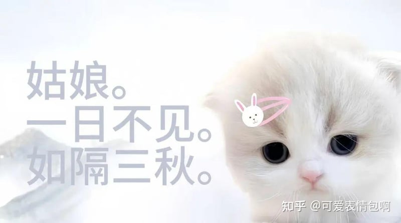 古风小生版猫咪：姑娘，一日不见如隔三秋
