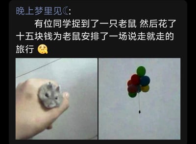 这张梗图展示了一个幽默场景：有位同学捉到一只老鼠后，没有选择常规处理方式，而是花15元为老鼠安排了一场"说走就走的旅行"。图片上方是文字描述，下方左侧是一只小老鼠被人握在手中的照片，右侧是一束彩色气球带着一个小物体（推测是那只老鼠）飞向空中的画面。整体通过荒诞的创意制造笑点，展现了年轻人独特的幽默方式。