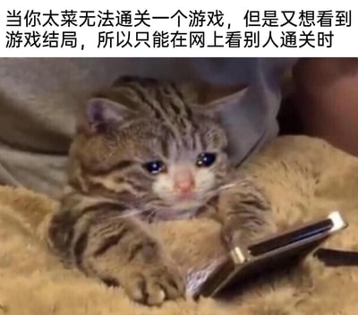 这是一张能精准戳中游戏玩家共鸣的搞笑表情包，上方配文描述了手残玩家的无奈处境：自身游戏水平有限，无法独立通关游戏，却又迫切想知晓游戏结局，只能通过网络观看其他玩家的通关视频。图中的小奶猫双眼噙泪，表情委屈巴巴地盯着面前的手机，将玩家那种想亲自通关却做不到，只能看别人通关的失落、不甘又委屈的心情，通过拟人化的方式生动展现出来，搞笑又真实，很容易引发同类玩家的共情。