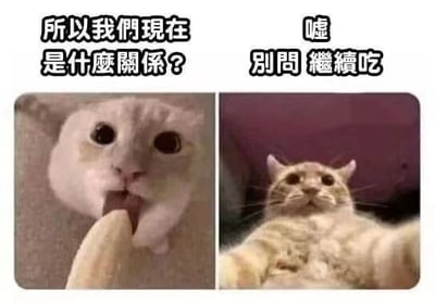 这是一张左右拼接的对比梗图，左侧是一只睁大眼睛、咬着类似手指物体的猫咪，搭配文字“所以我们现在是什么关系？”，传递出想要确认关系的疑惑与期待情绪；右侧是一只平躺、前爪摊开的猫咪，配文“嘘 别问 继续吃”，表现出回避问题、敷衍应对的态度。图片以猫咪的可爱形象为载体，调侃了亲密关系中一方渴望明确关系，另一方却只想享受当下、回避定义关系的相处状态，充满搞笑戏谑的氛围，容易引发有类似经历的网友共鸣。