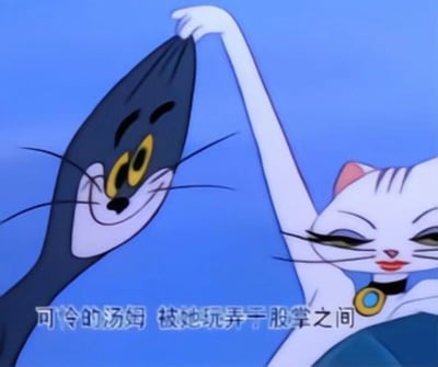 经典卡通《猫和老鼠》中的场景，汤姆猫头部被拉长变形，眼睛瞪得又大又圆，露出痴迷的表情望着白猫。白猫则闭着一只眼睛，表情妩媚，用一只手轻松地将汤姆的头向上抬起，姿态显得十分优雅自信。画面背景是纯净的蓝色，突出展示了两个角色的互动。底部配有文字“可怜的汤姆 被她玩弄于股掌之间”，精准概括了汤姆被白猫轻易掌控的情景。