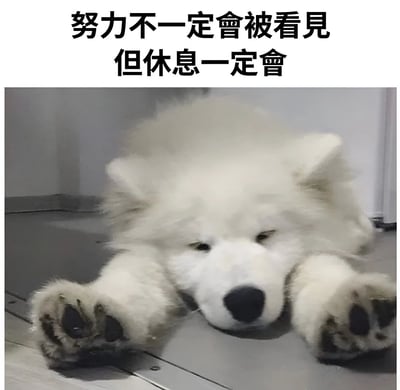 一张萨摩耶犬趴在地上休息的照片，上方配有文字'努力不一定會被看見 但休息一定會'，幽默地表达了人们往往更容易注意到别人休息而不是努力的现象。