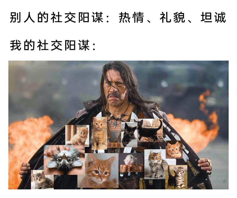 电影《弯刀》