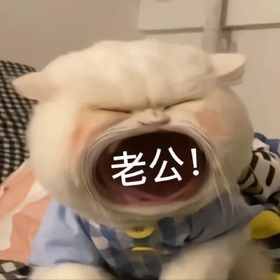 一只毛茸茸的白色猫咪，双眼紧闭，嘴巴张得极大，露出粉红色的口腔内部，脸上带着红晕。猫咪穿着蓝色格子图案的衣服，衣服上有黄色的纽扣。在猫咪张开的嘴巴中央，有白色加粗的文字'老公!'，整体画面呈现出一种夸张又可爱的兴奋感，仿佛在激动地呼唤。