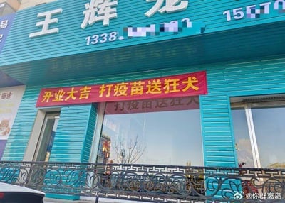 这是一张实拍的线下宠物店照片，店铺外观为蓝绿色，上方招牌印有“王辉龙”字样以及部分被打码的联系电话。店铺门口悬挂着一条醒目的红色开业横幅，上面写着“开业大吉 打疫苗送狂犬”。这条标语存在明显的表述歧义，原本应该是指提供狂犬疫苗相关的赠送服务或药剂，但字面表述容易让人误解为“打疫苗就赠送狂犬（病犬）”，形成了乌龙式的搞笑效果，属于因表述不当引发的趣味场景。