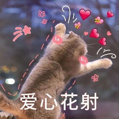 一只灰色的猫咪后腿站立，前爪向上伸展，似乎在跳跃捕捉空中的爱心。图片中添加了许多粉色和红色的爱心图案、星星和蝴蝶装饰，猫咪的脸颊上还有可爱的红晕。底部有白色文字“爱心花射”，整体营造出一种温馨可爱的氛围。