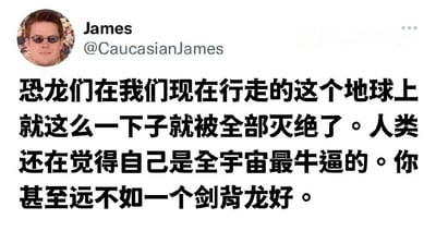 这是一张社交媒体截图，显示了用户James（@CaucasianJames）的推文内容。推文文字为：“恐龙们在我们现在行走的这个地球上就这么一下子就被全部灭绝了。人类还在觉得自己是全宇宙最牛逼的。你甚至远不如一个剑背龙好。” 配图中包含用户的圆形头像，整体构图为典型的推特帖子样式，上方显示用户名和账号，下方为推文正文。