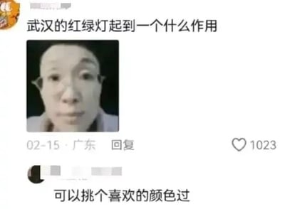 这是一张社交媒体评论区的截图，上方是提问“武汉的红绿灯起到一个什么作用”，并配有一个表情无奈、眼神略带呆滞的真人头像，下方是一条获得1023个点赞的回复“可以挑个喜欢的颜色过”，发布时间显示为02-15，地点标注广东。该回复是对武汉红绿灯的搞笑调侃，实际红绿灯的作用是规范交通秩序、引导车辆和行人有序通行、保障道路交通安全，这条回复用夸张的方式暗示部分网友认为武汉的红绿灯设置可能让出行者感到困惑，仿佛可以无视规则随意选择通行时机，以此制造幽默效果。