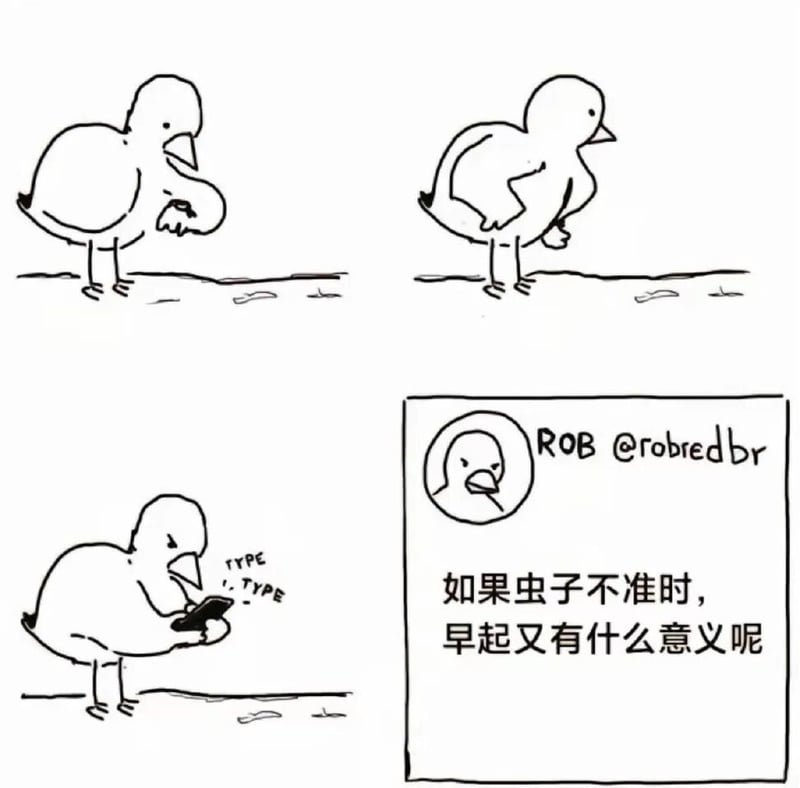 卡通小鸟