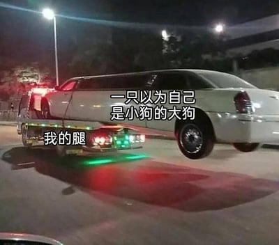 这是一张利用视觉错位制作的搞笑梗图，夜晚的城市道路上，一辆拖车装载着加长款林肯轿车的前半部分，轿车的后半部分悬空在路面上方，从视觉效果上看仿佛是一只体型巨大的“大狗”模仿小狗的姿态，只让前半身搭在拖车上。图中添加了拟人化的配文，拖车位置标注“我的腿”，加长轿车位置标注“一只以为自己是小狗的大狗”，通过这种拟人化的解读，放大了视觉错位带来的荒诞感，营造出滑稽搞笑的氛围。