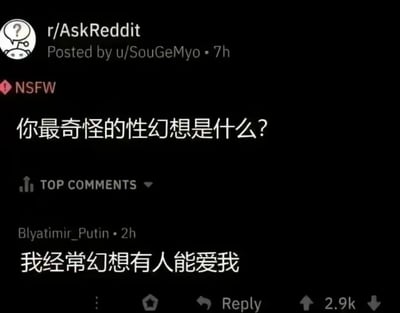 这是一张Reddit论坛AskReddit板块的帖子截图，楼主u/SouGeMyo发布了带有NSFW标识的开放式问题“你最奇怪的性幻想是什么？”，在热门评论区中，用户Blyatimir_Putin给出了偏离问题预期的回复：“我经常幻想有人能爱我”。这个回复没有围绕“性幻想”展开，而是直白地表达了渴望被爱的内心诉求，这种与问题方向的反差，戳中了很多人内心深处对爱与关怀的渴望，因此该评论获得了2.9k的点赞数，形成了扎心又真实的效果。
