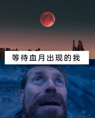 这是一张经过合成制作的梗图，采用上下拼接的形式：上半部分是黄昏时分荒漠石林地貌的上空悬挂着一轮血红色的月亮，整体氛围神秘诡谲；下半部分截取了美剧《权力的游戏》中詹姆·兰尼斯特的经典崩溃场景，他仰头注视上方，双眼瞪大，面部肌肉紧绷，神情满是惊恐与绝望。画面中间的白色矩形框内标注着文字“等待血月出现的我”，将等待血月的期待感与角色的崩溃神态结合，形成强烈反差，用夸张的方式调侃人们等待罕见天文现象血月时，那种激动、紧张到近乎崩溃的复杂情绪。