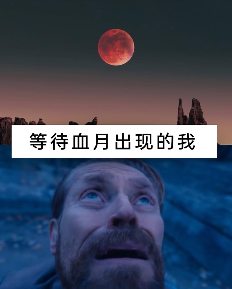 詹姆·兰尼斯特