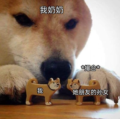 这张图以拟人化的柴犬形象，生动还原了生活中长辈热心给晚辈牵线搭桥的常见场景。画面上方的大柴犬被标注为“我奶奶”，它低头专注地盯着桌面的两个小柴犬摆件，双爪搭在桌面，神态认真；左侧小柴犬标注为“我”，右侧标注为“她朋友的孙女”，旁边的“*撮合*”文字，精准表现出长辈热衷于给晚辈介绍对象、强行撮合的状态，用可爱的柴犬形象让这个略带无奈的日常场景变得搞笑又亲切，很容易引发有过类似经历的人的共鸣。