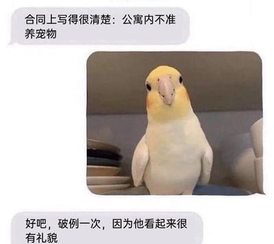 这是一张采用聊天记录截图形式的图文混排搞笑梗图。上方对话框的文字显示公寓有明确的“不准养宠物”的规定，中间是一张真实的玄凤鹦鹉照片，这只鹦鹉端正地坐着，神态温和乖巧，看起来十分规矩；下方对话框的内容则是原本强调规定的管理员/房东改变态度，以“它看起来很有礼貌”为理由破例允许饲养。通过前后态度的强烈反差，结合拟人化的趣味理由，制造出轻松幽默的效果，既凸显了这只鹦鹉的可爱，也让整个场景充满温馨的笑点。