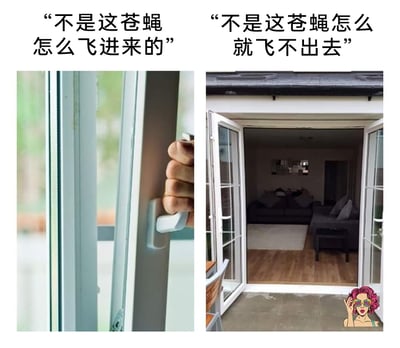 这是一张左右分栏对比的生活梗图，左侧画面呈现一只手握着窗把手，仅将窗户打开一条极小的缝隙，上方配文“不是这苍蝇怎么飞进来的”，表现出人们发现苍蝇从如此狭小的空间进入室内时的疑惑不解；右侧画面则是完全敞开的入户房门，室内的客厅区域清晰可见，上方配文“不是这苍蝇怎么就飞不出去”，以此讽刺人们面对苍蝇时的双标心态：既疑惑它为何能从缝隙钻入，又无视了大开的门本就是绝佳的出口，用贴近日常的场景精准戳中生活中这类常见的矛盾心理，引发观者共鸣。