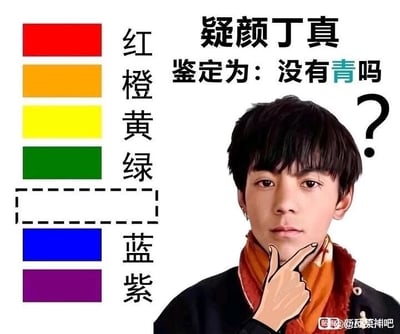 这是一张图文混排的静态P图改编梗图，右侧是真实人物丁真的照片，照片上被添加了一个手势指向丁真的颈部区域，丁真表情平静；左侧依次排列彩虹色系的颜色块及对应文字标注，分别是红、橙、黄、绿、蓝、紫，其中绿色与蓝色之间本该是青色的位置是空白的虚线框。图片上方配有文字「疑颜丁真」，是「一言难尽」的谐音；下方配有文字「鉴定为：没有青吗」，这里运用了谐音双关梗，「青」谐音「情」，实际是调侃「没有情商吗」，结合左侧缺失青色块的视觉元素，将文字谐音与视觉内容结合，制造出搞笑的网络梗效果。