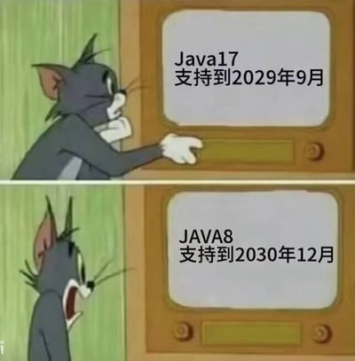 这是一张由《猫和老鼠》动画截图改编的双格梗图。上格中，汤姆猫正手指着电视屏幕，屏幕显示“Java17 支持到2029年9月”，表情专注；下格中，汤姆猫看到电视屏幕更新为“JAVA8 支持到2030年12月”后，露出震惊张嘴的表情，通过角色情绪变化幽默对比Java8比更新版本Java17拥有更长支持周期的现象。