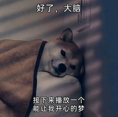 一张柴犬表情包，图中柴犬裹着棕色毯子，趴在白色枕头上，靠在墙边，表情放松。图片上方配有文字“好了，大脑”，下方配有文字“接下来播放一个能让我开心的梦”，通过拟人化的方式幽默地表达了希望做个好梦的愿望。