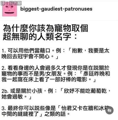这是一张以文字为主的搞笑图片，标题为“为什么你该为宠物取个超无聊的人类名字”，内容列举了三个为宠物取普通人类名字的有趣理由和例子。包括用宠物当借口推脱社交活动、观察他人多久才发现你在谈论宠物而非伴侣或小孩，以及最终可以说出“怡君又卡在墙和冰箱中间的缝缝里了”这类荒诞又好笑的话。整体风格幽默风趣，适合宠物主人之间分享逗乐。