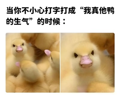 这张梗图通过上下结构呈现，上方文字描述了打字时不小心将粗话打成谐音的“我真他鸭的生气”的场景，下方是两张小黄鸭的对比图片。左侧鸭子表情平静，右侧鸭子表情愤怒，形成鲜明对比，幽默地表现了人们打错字时的懊恼心情。