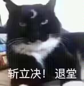 图片中是一只黑白相间的猫咪，毛色以黑色为主，胸前有白色毛发，正端坐凝视前方，表情显得严肃而威严。猫咪下方配有白色文字“斩立决！退堂”，模仿古代官员断案后的威严宣告。猫咪的严肃神态与权威感十足的文字形成幽默反差，营造出一种“猫咪判官”的滑稽效果，常被用作表达果断、霸气或开玩笑式“判决”的表情包。