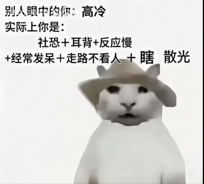 这是一张图文结合的趣味表情包，图片上半部分为文字内容，先点明他人对自己的普遍印象是高冷，随后列出自己真实的状态：社恐、耳背、反应慢、经常发呆、走路不看人、近视散光。图片下半部分是一只戴着浅棕色宽边帽子的灰色猫咪，神态呆滞迷茫，恰好契合文字描述的反应迟钝、状态游离的特点，生动调侃了当代不少人对外展现的形象和自身真实状态存在巨大反差的情况，很容易引发大众共鸣。
