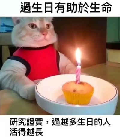 图片中一只穿着红色背心的猫咪正坐在桌子前，前爪放在桌面上，注视着面前白色盘子里的一个纸杯蛋糕，蛋糕上插着一根点燃的粉色螺旋蜡烛。图片顶部有文字“過生日有助於生命”，底部文字为“研究證實，過越多生日的人活得越長”。这是一张通过谐音和逻辑谬误制造幽默效果的梗图，利用“过生日次数多”与“活得久”之间的 tautology（同义反复）关系，即活得越久自然过生日越多，从而形成戏谑的“研究结论”。