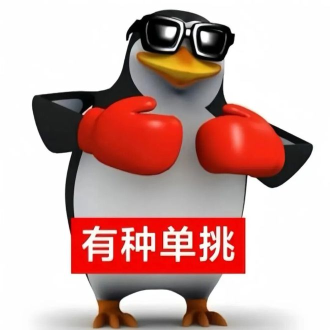高雅人士之有种单挑