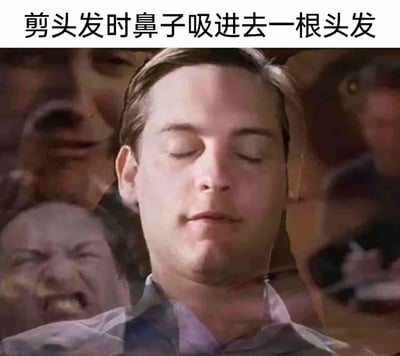 这是一张用于调侃生活尴尬瞬间的搞笑表情包，图片上方配有文字“剪头发时鼻子吸进去一根头发”。画面核心是托比·马奎尔饰演的彼得·帕克，他双眼闭合，表面强装镇定，而周围叠加了多张表情崩溃、扭曲的人脸，通过这种表面平静与内心崩溃的强烈反差，生动地表现出当鼻子吸进头发时，人看似若无其事，实则内心已经被极度的不适和烦躁所充斥的状态，精准戳中人们在剪发时遇到这类小意外的共鸣点，充满搞笑效果。