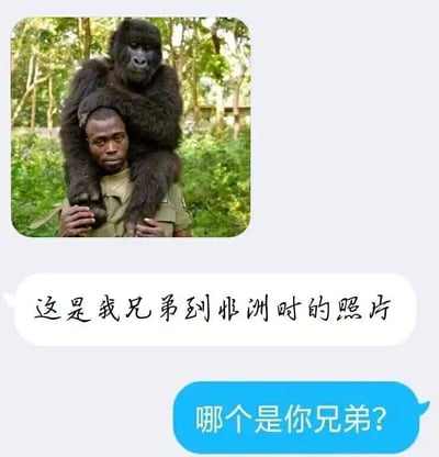 这是一张搞笑聊天记录截图，上方的消息发送者分享了一张户外照片：一位非洲男性坐在画面中，他的肩膀上坐着一只大猩猩，男性双手握住大猩猩的两只脚，背景是绿意盎然的树林环境。发送者配文称“这是我兄弟到非洲时的照片”，下方的回复者则发出灵魂提问“哪个是你兄弟？”，对话利用大猩猩和男性外貌的相似性制造出幽默效果，调侃两人长相相近，让人难以分辨谁是被提到的“兄弟”，充满了调侃趣味。