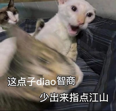 这张图是一只猫挥爪打另一只猫，前景的猫模糊，体现出极强的打击动作，背景的猫一脸惊讶和害怕，画面非常戏剧性。配字“这点子diao智商，少出来指点江山”中，“diao”为网络用拼音谐音梗，实际隐晦表达轻蔑或鄙视的语气，整体氛围犀利中带有搞笑。此表情包广获网友用于在线互怼、调侃否定他人时使用。

- “diao”为网络常用谐音梗，带侮辱成分但较轻。
- 画面与文字匹配，强调了“无资格指点他人”的吐槽意味。