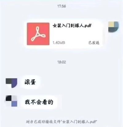 这是一张聊天记录截图，显示一方在17:56发送了名为《女装入门到嫁人.pdf》的文件（大小1.40MB），接收方在18:02回复“滚蛋”和“我不会看的”，但系统提示显示文件已被成功接收。通过文件名称与接收方口是心非的回应形成幽默反差。