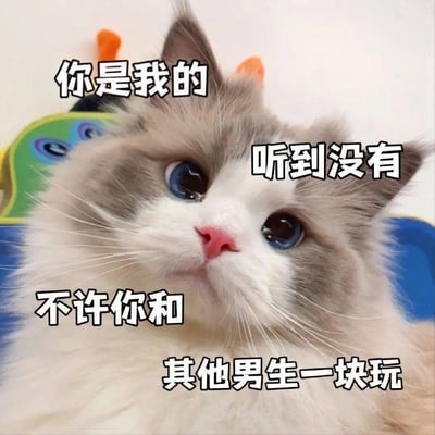 图片为一只蓝眼睛的长毛猫咪特写，猫咪抬头向上看，表情可爱。图片上叠加了三段文字：左上角“你是我的”，右侧“听到没有”，底部“不许你和其他男生一块玩”，整体营造出一种俏皮的占有欲氛围，适合用于情侣间的调侃或社交媒体互动。