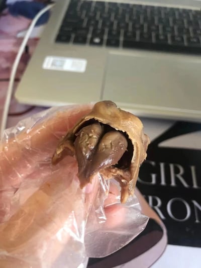 图片前景中一只手隔着透明塑料袋拿着一块卤制鸡爪，鸡爪肉质紧实，可见明显的骨关节和筋腱。背景为日常办公场景，包括银色笔记本电脑的键盘部分、白色充电线缆，以及一个黑色物体表面印有的部分英文字母“GIRL IRON”。整体画面呈现出生活化的美食分享氛围，聚焦于手中的食物细节与背后的工作环境对比。