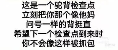这张图是纯文字梗图，模拟了“驼背检查点”的设定，提醒看到此图片的人立刻挺直背，不要再含胸驼背，用较为幽默甚至略带吐槽的语气敦促大家注重仪态。全文模仿“抓包”现场，带有一种类似安检或突击检查的搞笑效果，是很常见的自嘲式网络提醒。

本图没有双关和谐音，但用“驼背检查点”设定和刻意调侃的口吻，营造了网络二创里常用的突发‘检测/抽查’氛围。