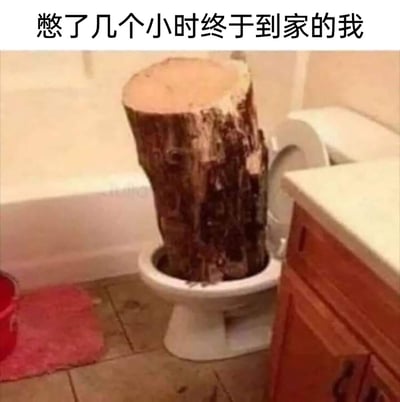 这是一张经过PS改编的搞笑梗图，画面呈现的是卫生间场景，白色马桶中被一个体积十分粗壮的大树桩完全填满，图片上方配有文字“憋了几个小时终于到家的我”。创作者用夸张的树桩体积来类比人在外长时间憋尿后，到家如厕时的强烈排泄需求，通过这种荒诞的视觉效果放大生理感受，营造出滑稽搞笑的氛围，用来调侃生活中憋尿后急于如厕的尴尬又好笑的经历。